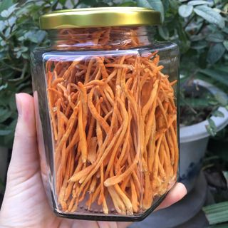 Đông Trùng Hạ Thảo sấy khô