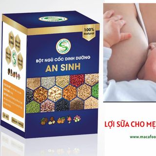 Ngũ cốc lợi sữa tốt nhất giá sỉ