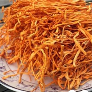 Nấm đông trùng hạ thảo