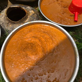 Rựu Rừng Hà Thổ