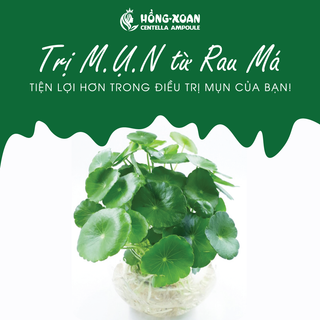 Serum Hồng Xoan