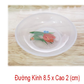 Dĩa Tương Nhựa Trắng