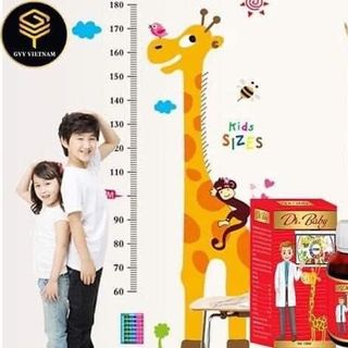 Bộ đôi Sâm Baby Kids và Dr. Baby