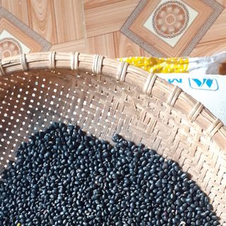 Đậu đen xanh lòng