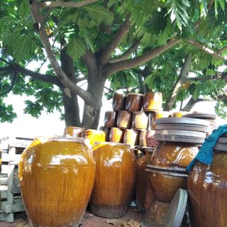 Chum làm mắm, đựng nước