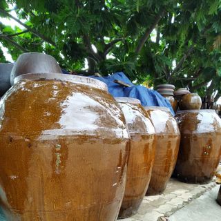 Chum làm mắm, đựng nước