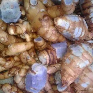 TINH BỘT NGHỆ ĐEN