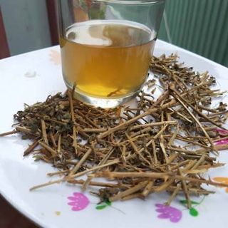 CÀ GAI LEO KHÔ