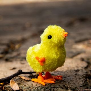 Đồ chơi mô hình gà con có dây cót