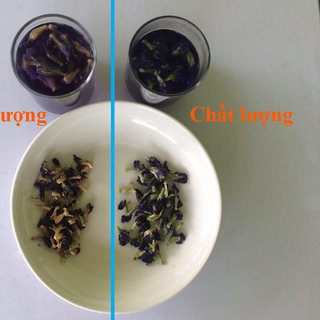 Trà hoa đậu biếc - túi zipper giấy 30gr
