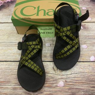 Dép xăng đan nam chaco D152