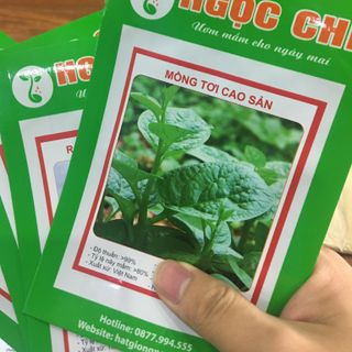 Bảng Báo Giá Hạt Giống Rau Giá Gốc