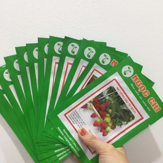 Bảng Báo Giá Hạt Giống Hoa Giá Gốc