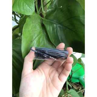 Tai nghe AKG S8, S9