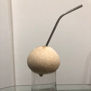 Dừa Xiêm Trọc Bến Tre