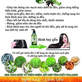 Thảo Dược Gọi Đầu Bồ Kết Hoa Bưởi Sả Chanh NCT3