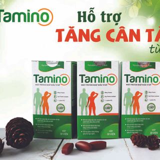 Tăng cân Tamino bổ sung hợp chất Whey Protein Mỹ