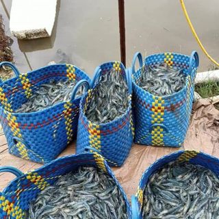 Thức ăn cho tôm sú cỡ li vừa 20KG