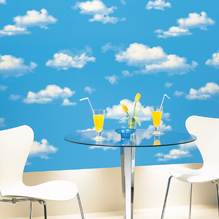Decal Dán Tường Bầu Giả Bầu Trời