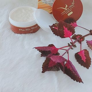 Body truyền trắng thượng lưu
