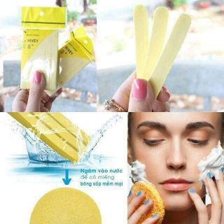 SET 12 MÚT BỌT BIỂN