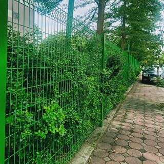 Cung cấp lưới thép hàng rào bẻ 2 đầu tam giác , giá rẻ tại Hà Nội