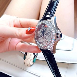 Davena hoa tuyết đẹp nức lòng người hâm mộ