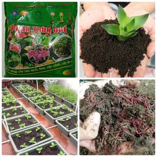 Phân trùn quế dạng bột An Phú