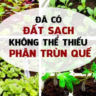 Phân trùn quế dạng bột An Phú