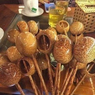 Gáo dừa múc rượu