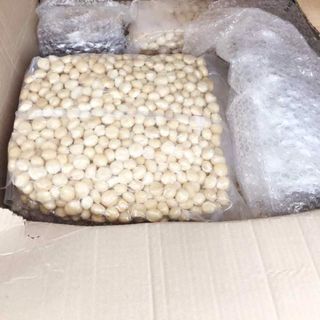 Hạt macca nhân (Xuất xứ Việt Nam)