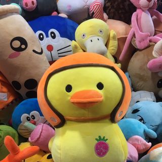 Gấu bông vịt đội nón bảo hiểm