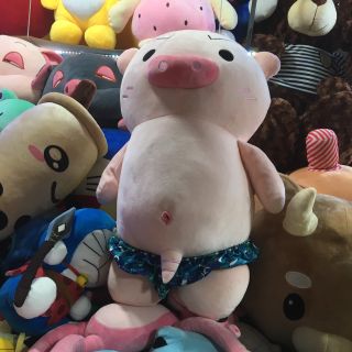 Gấu bông heo biến thái lòi chym