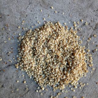 Vỏ hạt đậu nành (Làm thức ăn chăn nuôi) giá sỉ