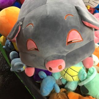 Gấu bông heo phê cần 75cm