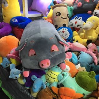 Gấu bông heo phê cần 75cm