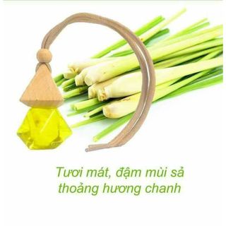 Lọ tinh dầu sả chanh treo oto