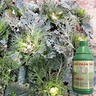 Chế Phẩm Sinh Học Tỏi Ớt Chai 1 Lít