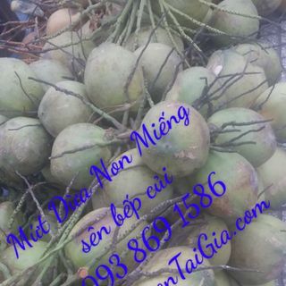 Mứt dừa non Bến Tre mứt dừa non miếng Nhà Vườn Tại Gia sên đường phèn bếp củi