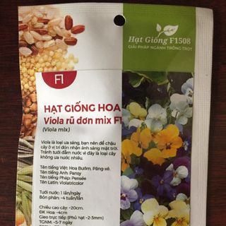 Hạt giống hoa Viola rũ đơn nhiều màu F1508 giá sỉ