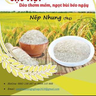 gạo việt