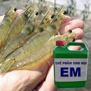 Chế Phấm Sinh Học EM Gốc (EM1) Can 2 Lít