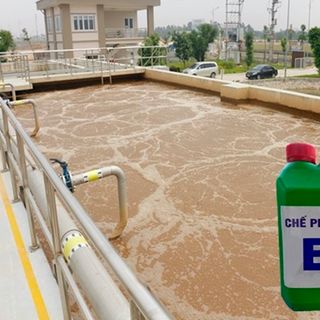 Chế Phấm Sinh Học EM Gốc (EM1) Can 2 Lít