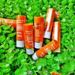 Son Gió Thái Spring Song