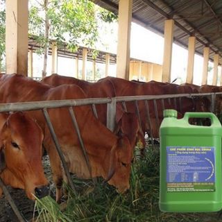 Chế Phẩm Sinh Học EMINA Can 2 Lít