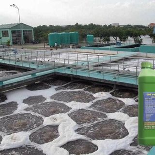 Chế Phẩm Sinh Học EMINA Can 2 Lít