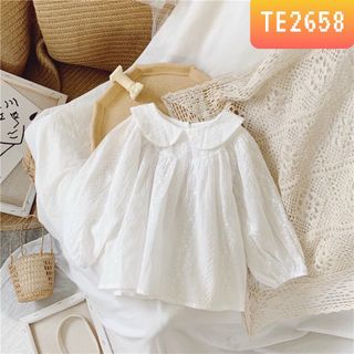 Áo sơ mi chui đầu dài tay thêu hoa TE2658