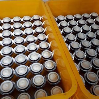 Cao Sâm Collagen(Vua trị nám )