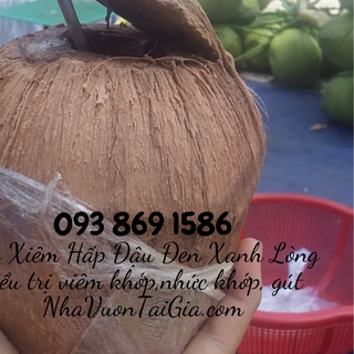 Dừa Hấp đậu cách thủy 7h chữa đai nhức xương khớp