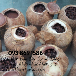 Dừa Hấp đậu cách thủy 7h chữa đai nhức xương khớp